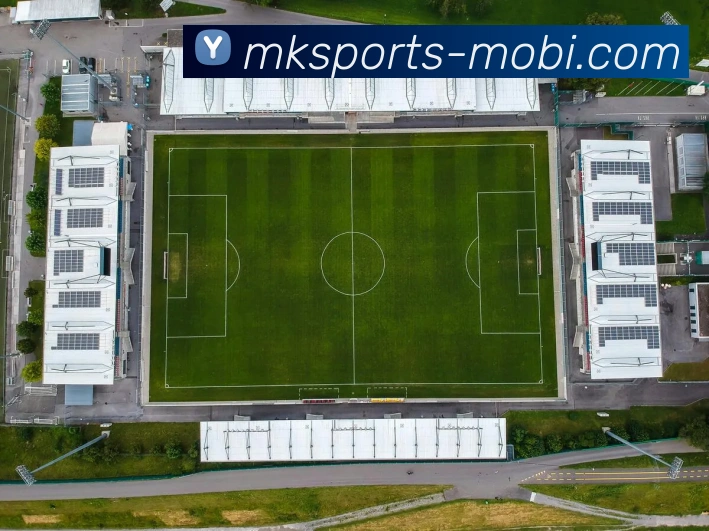 多媒体互动体验