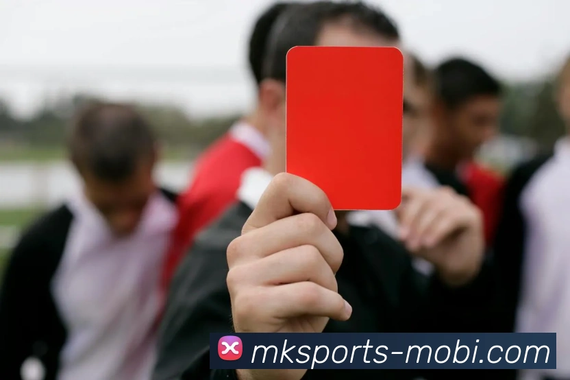 MK体育APP 高清赛事图