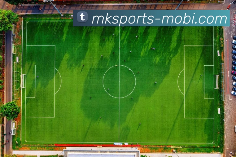 数据防护可视化