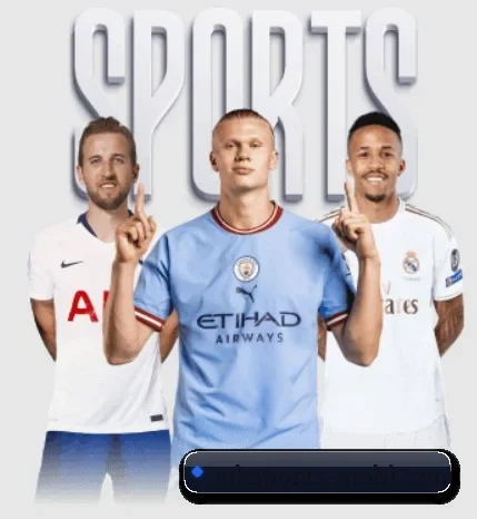 五大服务分区,信息按项目分类（mksports）